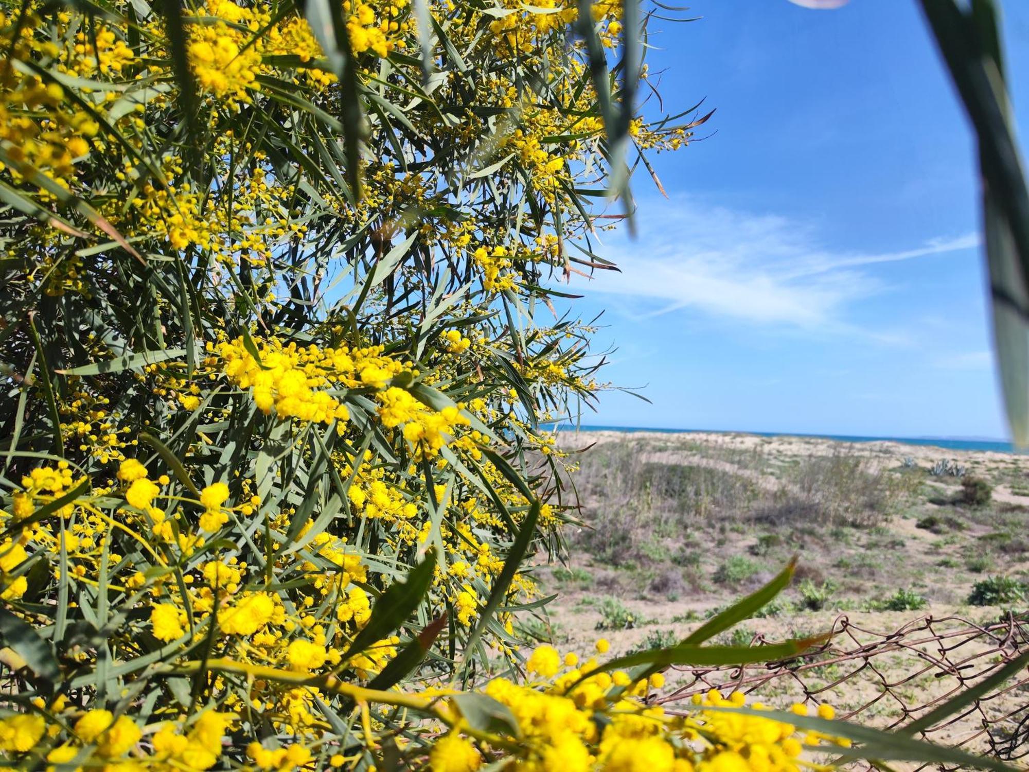 A Casa Dello Zio Villa Catánia Buitenkant foto